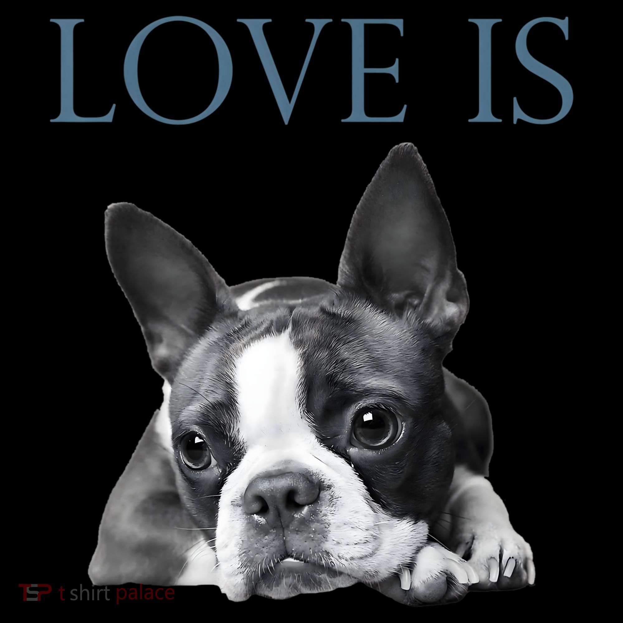 Love Is Boston Terrier Bostie Toddler Hoodie