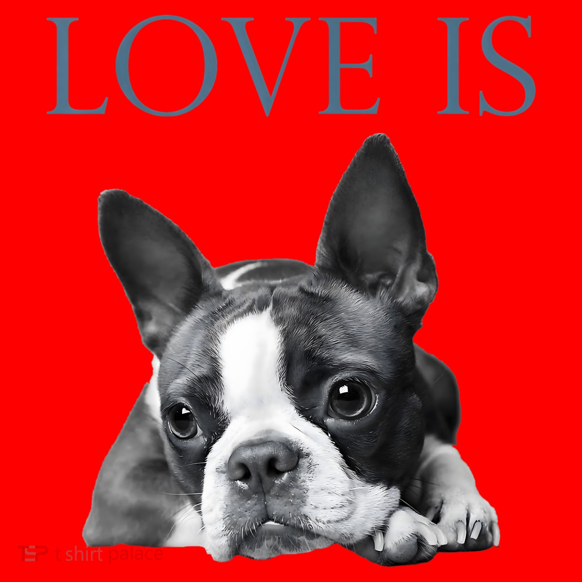 Love Is Boston Terrier Bostie Santa Hat