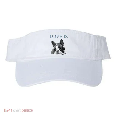Visor