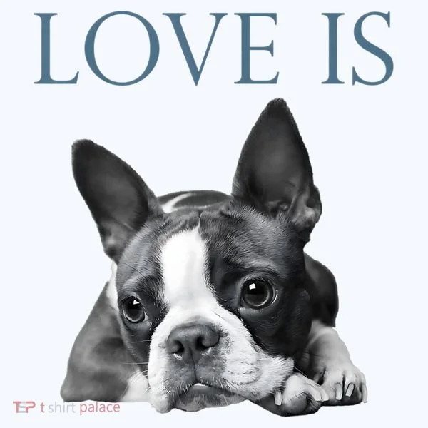 Love Is Boston Terrier Bostie Women's T-Shirt
