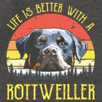 Life Is Better With A Rottweiler Dog Lover Gift Womens Funnel Neck Pullover Hood thumb 2