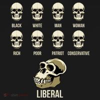 Liberal Monkey Black White Man Woman Rich Poor Patriot Conservative Sweatshirt thumb 3