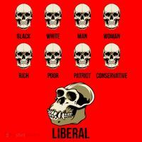 Liberal Monkey Black White Man Woman Rich Poor Patriot Conservative Santa Hat thumb 1