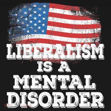 Liberalism Is A Mental Disorder Cropped Pullover Crew