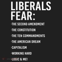 Liberals Fear Conservative Republican Beanie thumb 2