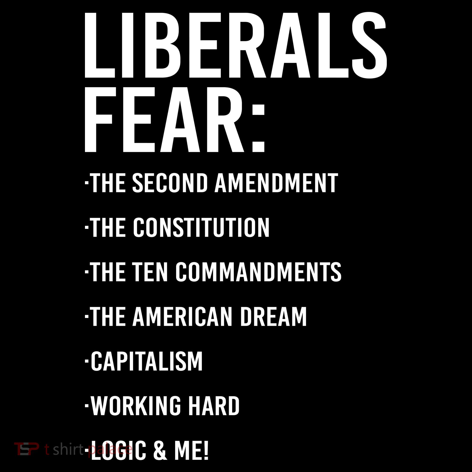 Liberals Fear Conservative Republican Kids T-Shirt
