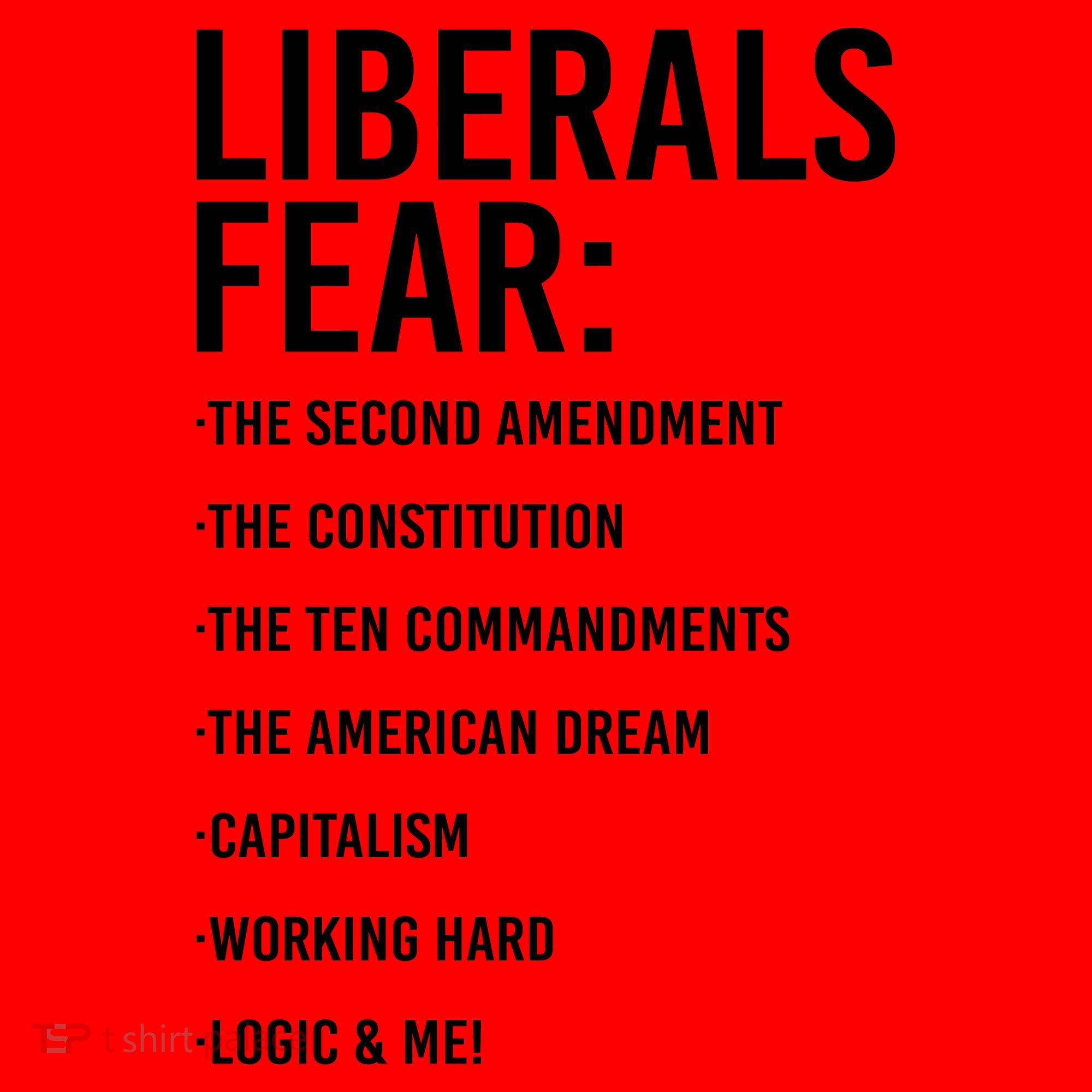 Liberals Fear Conservative Republican Santa Hat