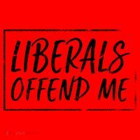Liberals Offend Me Santa Hat thumb 1