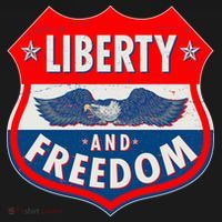 Liberty And Freedom US Eagle Road Sign Ornament thumb 1