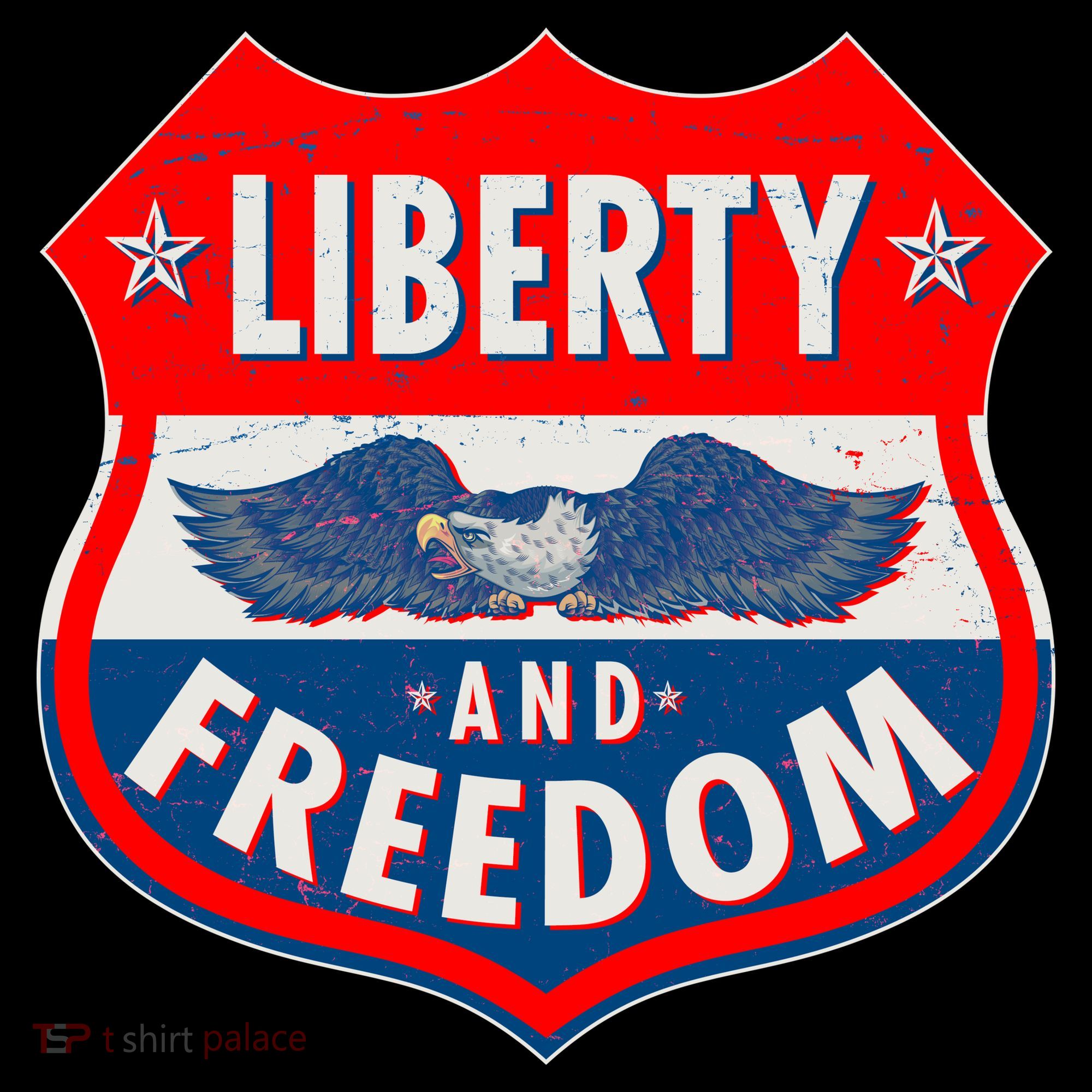 Liberty And Freedom US Eagle Road Sign Toddler Hoodie