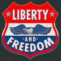 Liberty And Freedom US Eagle Road Sign Button thumb 1
