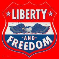 Liberty And Freedom US Eagle Road Sign Santa Hat thumb 1