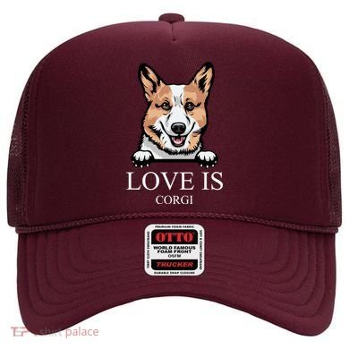 Love Is Corgi Dog Hat