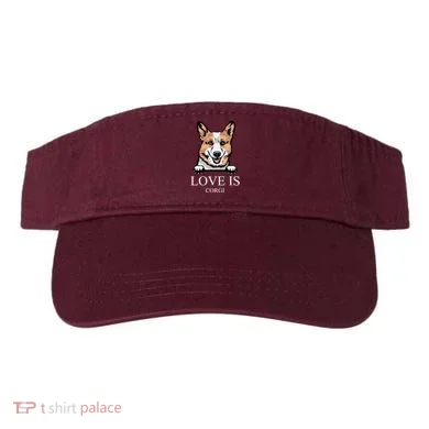 Visor