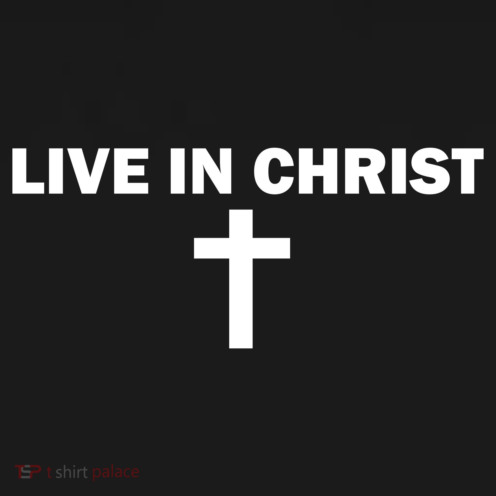 Live In Christ Limated Christian Faith Sweatshirt