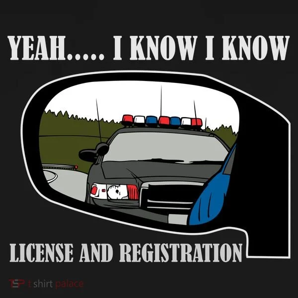 License And Registration Pulled Over Doggie Tank