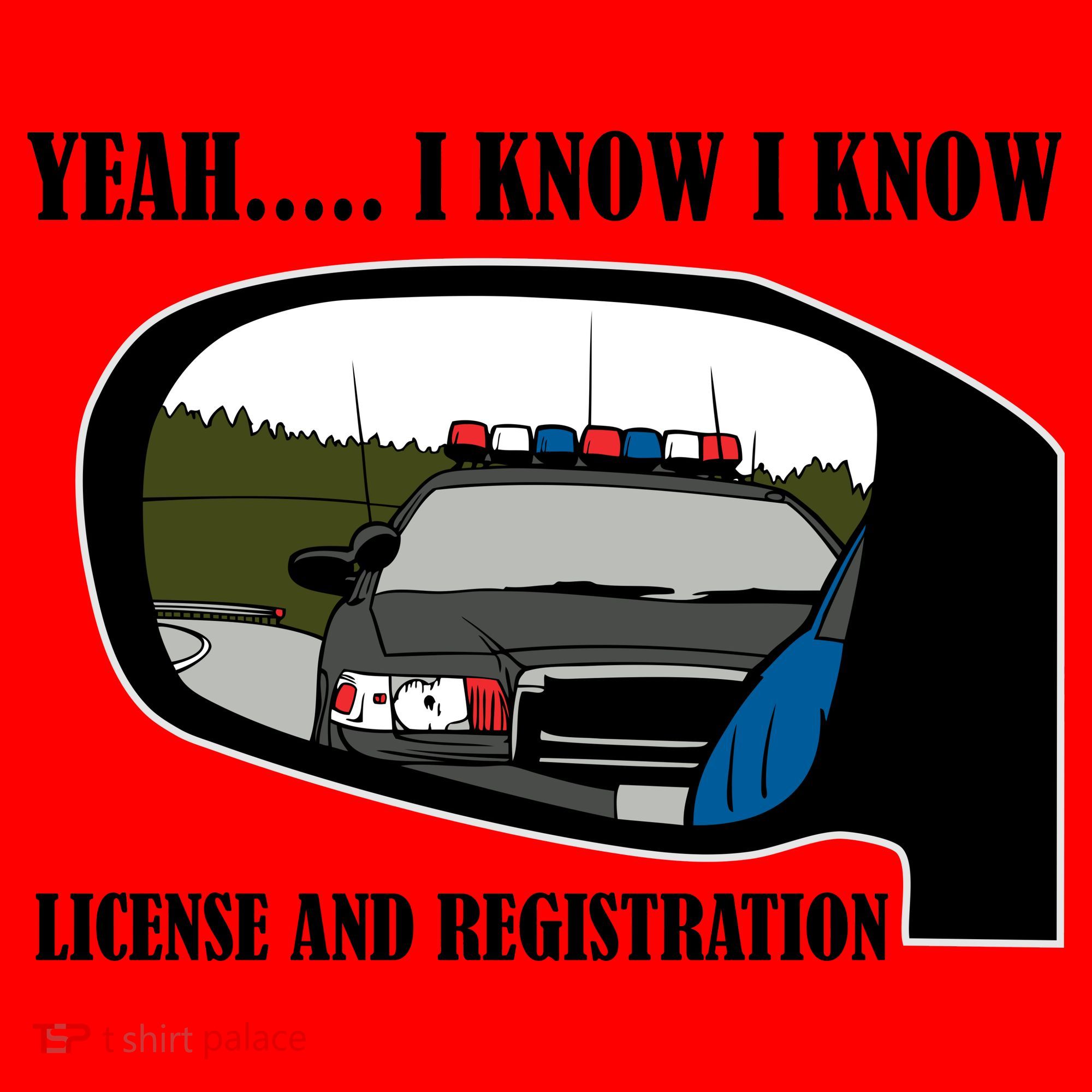 License And Registration Pulled Over Santa Hat