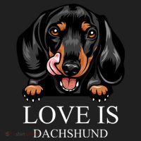 Love Is Dachshund Beanie thumb 2