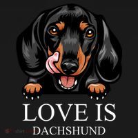 Love Is Dachshund Pajama Set thumb 2