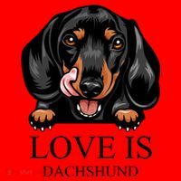 Love Is Dachshund Santa Hat thumb 1