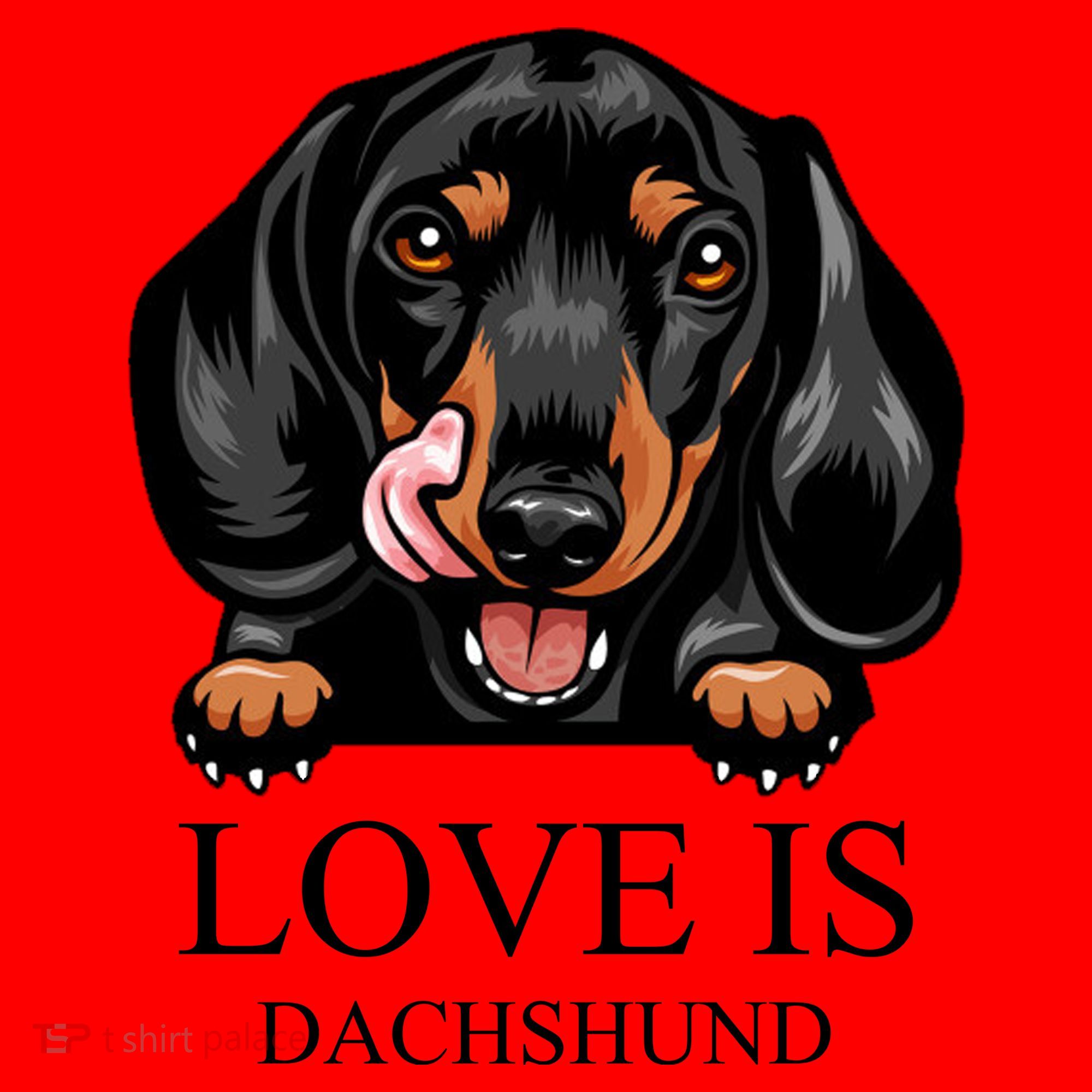 Love Is Dachshund Santa Hat