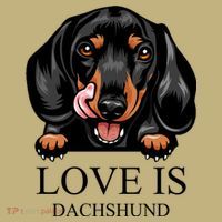 Love Is Dachshund Hoodie thumb 7