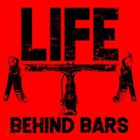 Life Behind Bars Bicycle  Santa Hat thumb 1