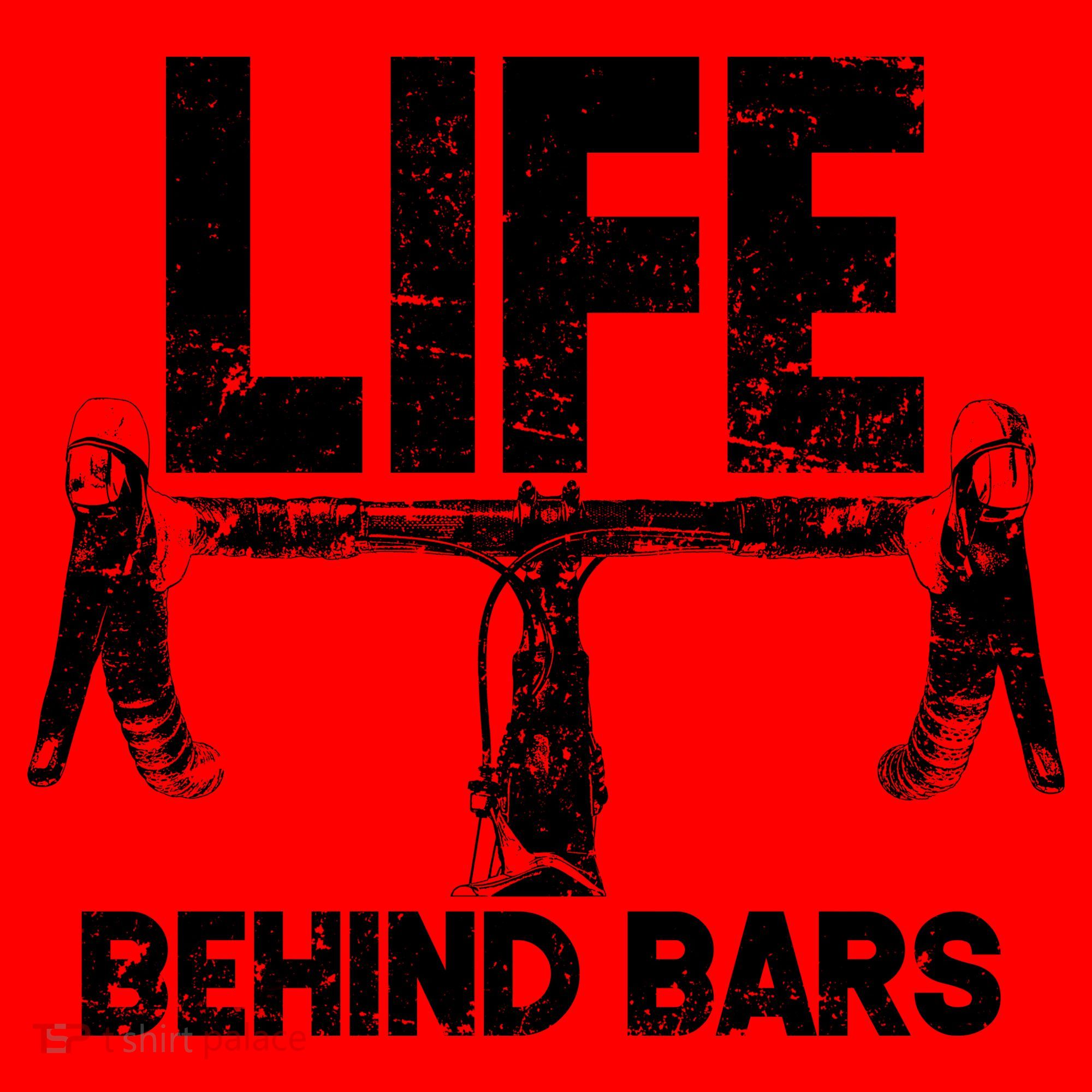 Life Behind Bars Bicycle  Santa Hat