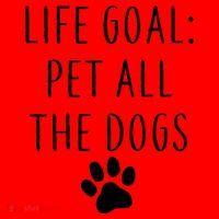 Life Goal Pet All Dogs Funny Santa Hat thumb 1