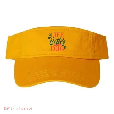 Visor