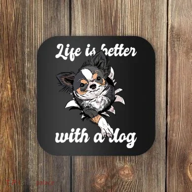 Coaster