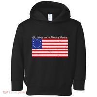 Life Liberty And The Pursuit Of Happiness Flag Toddler Hoodie thumb 0
