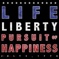 Life Liberty Pursuit Of Happiness Women's Tri-Blend 3/4-Sleeve Raglan Shirt thumb 4