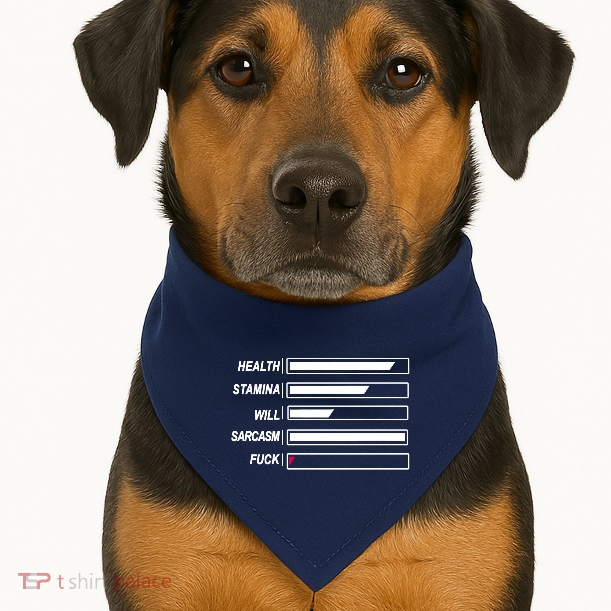 Life Status Bar USA-Made Doggie Bandana