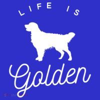 Life Is Golden Gift For Golden Retriever Lovers T-Shirt thumb 7