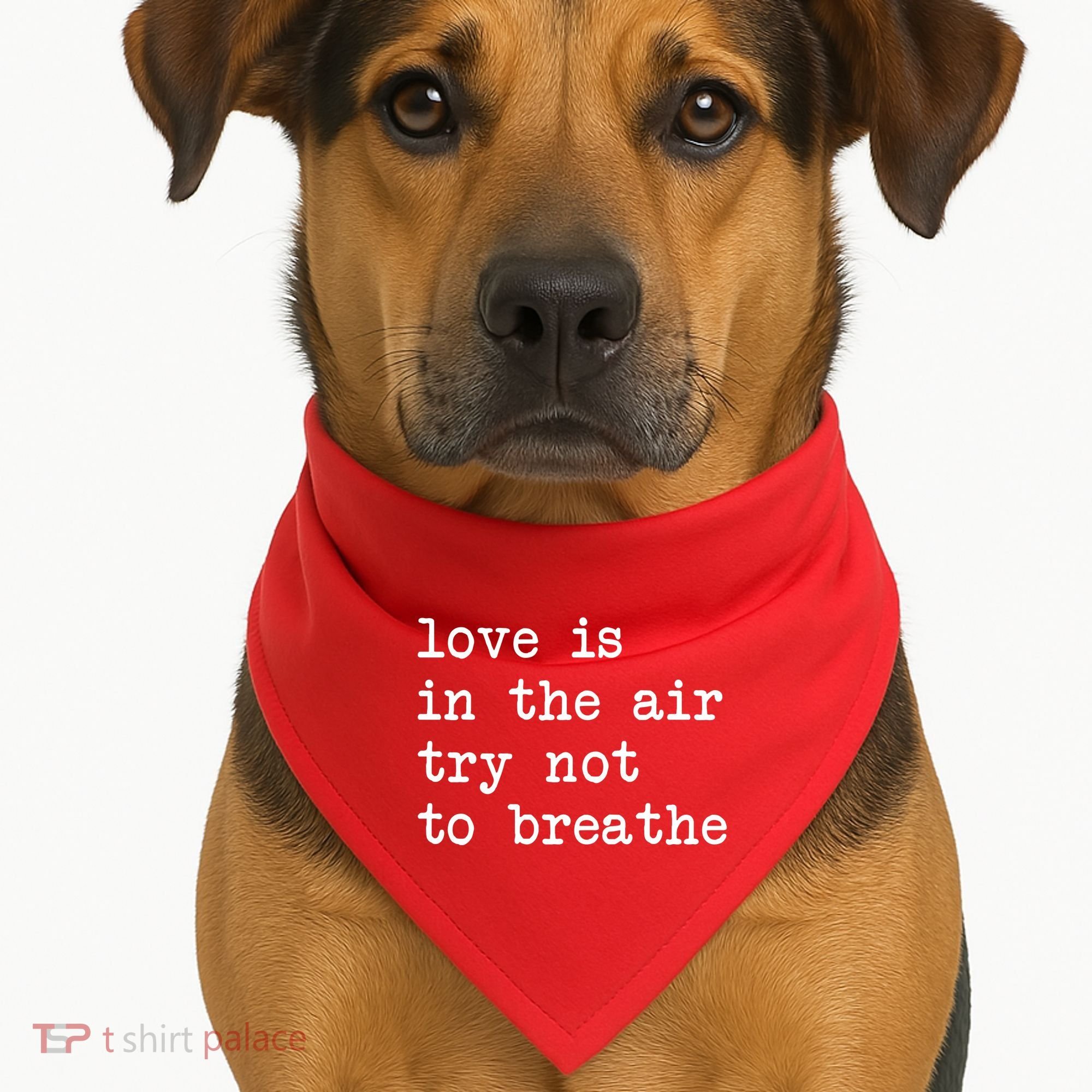 Love Is In The Air Try Not To Breathe Funny Valentines Day USA-Made Doggie Bandana