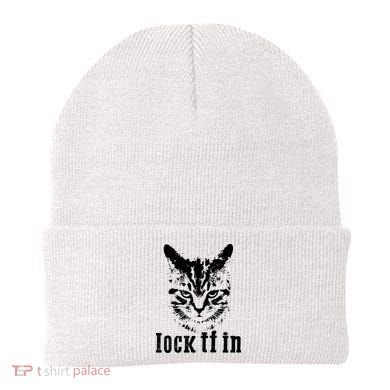 Lock It In: Fierce Cat Beanie