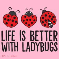 Ladybug Insects Life Is Better With Ladybugs Coaster thumb 2