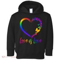 Love Is Love Rainbow Butterfly Heart Toddler Hoodie thumb 0