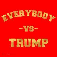 Limited Edition Everybody VS Trump Gold Print Santa Hat thumb 1