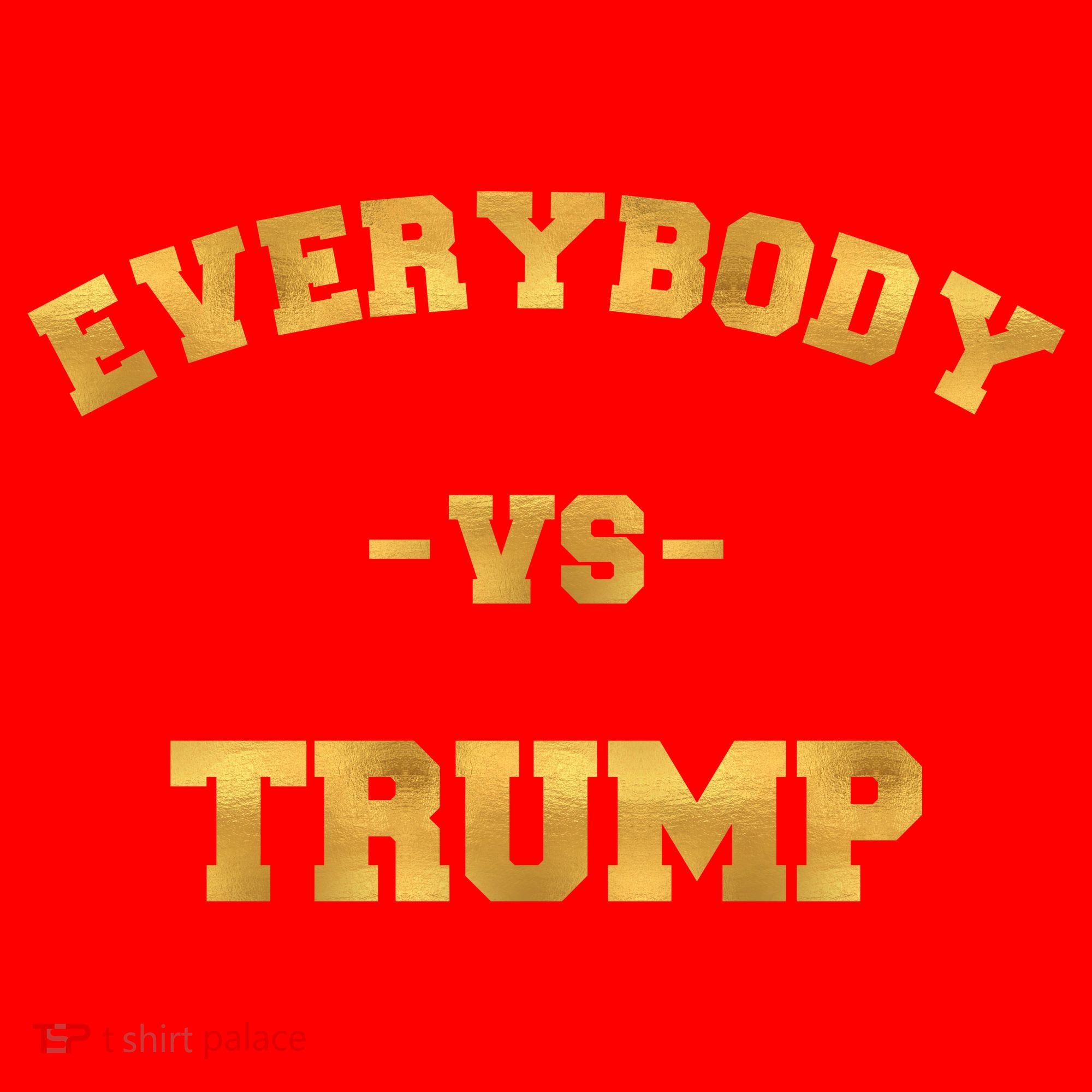Limited Edition Everybody VS Trump Gold Print Santa Hat