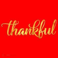 Limited Edition Thankful Thanksgiving Gold Print Santa Hat thumb 1