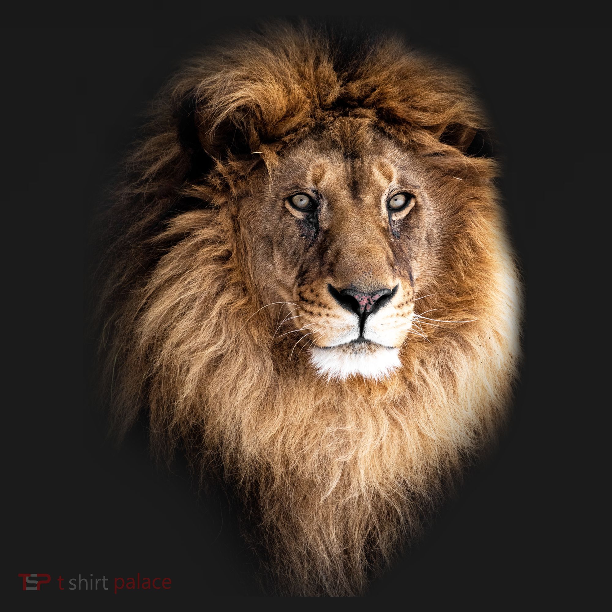 Lion Head Graphic Doggie Tank