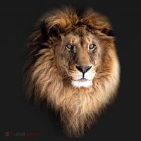 Lion Head Graphic USA-Made Doggie Bandana thumb 2