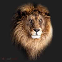 Lion Head Graphic Beanie thumb 2