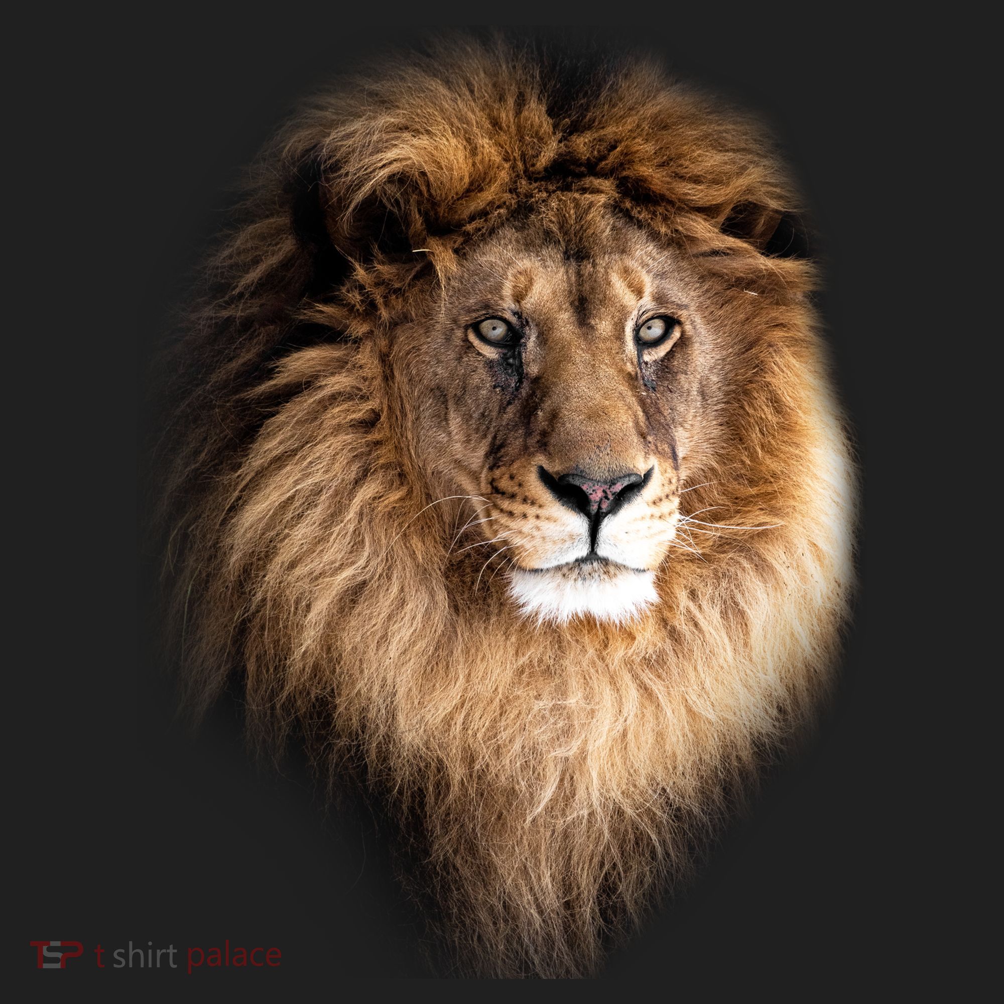 Lion Head Graphic Beanie