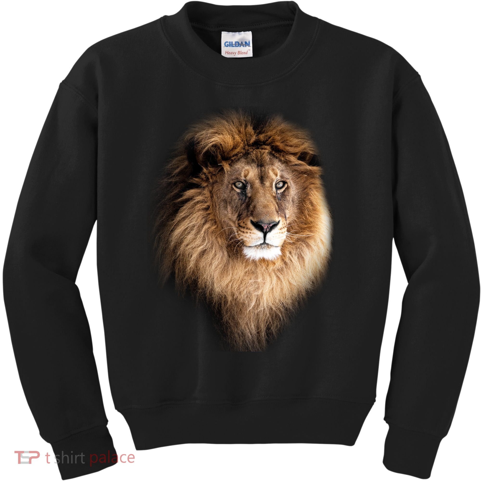 Lion Head Graphic Kids Sweatshirt