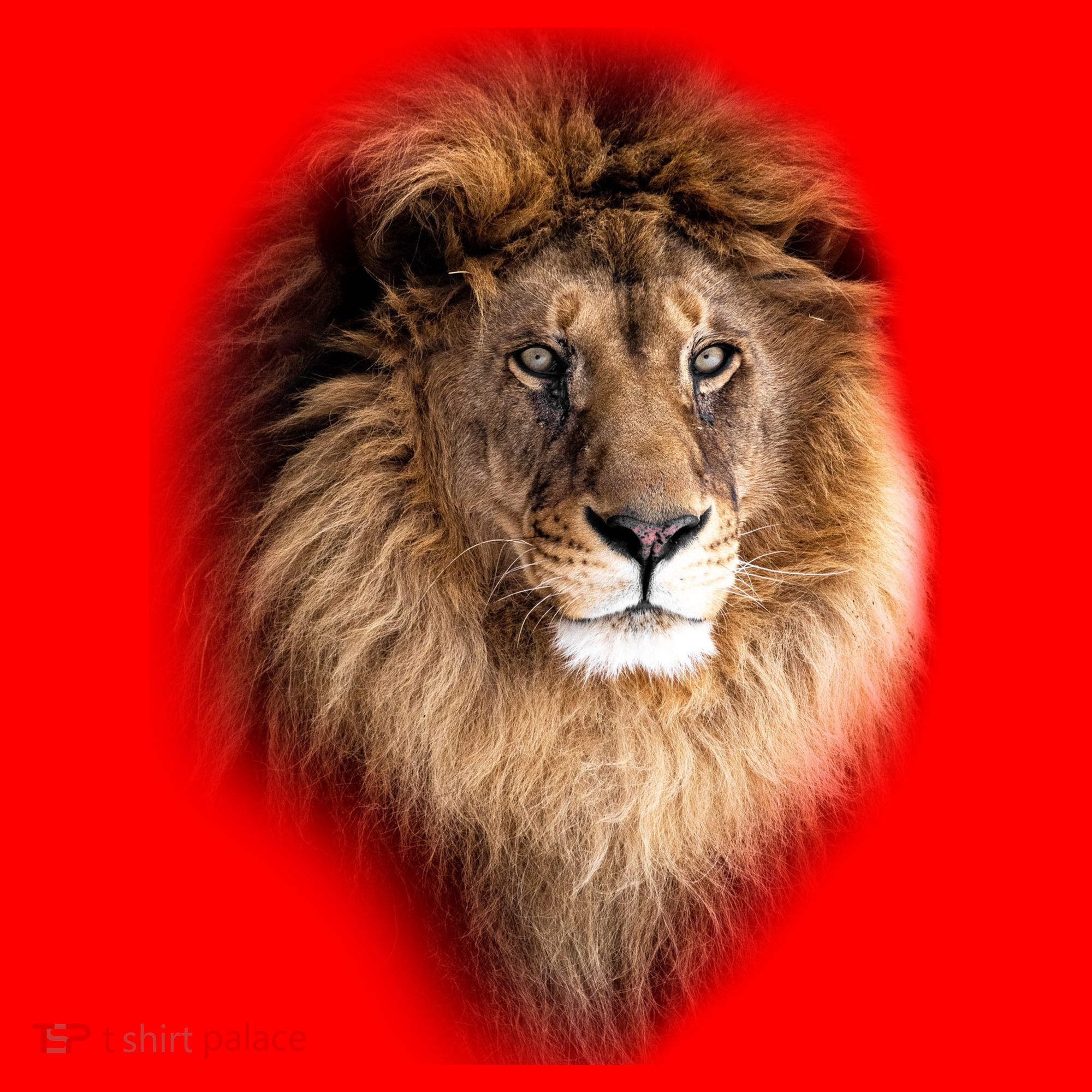 Lion Head Graphic Santa Hat