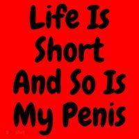 Life Is Short And So Is My Penis Santa Hat thumb 1
