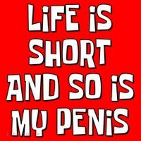 Life Is Short And So Is My Penis Funny Santa Hat thumb 1